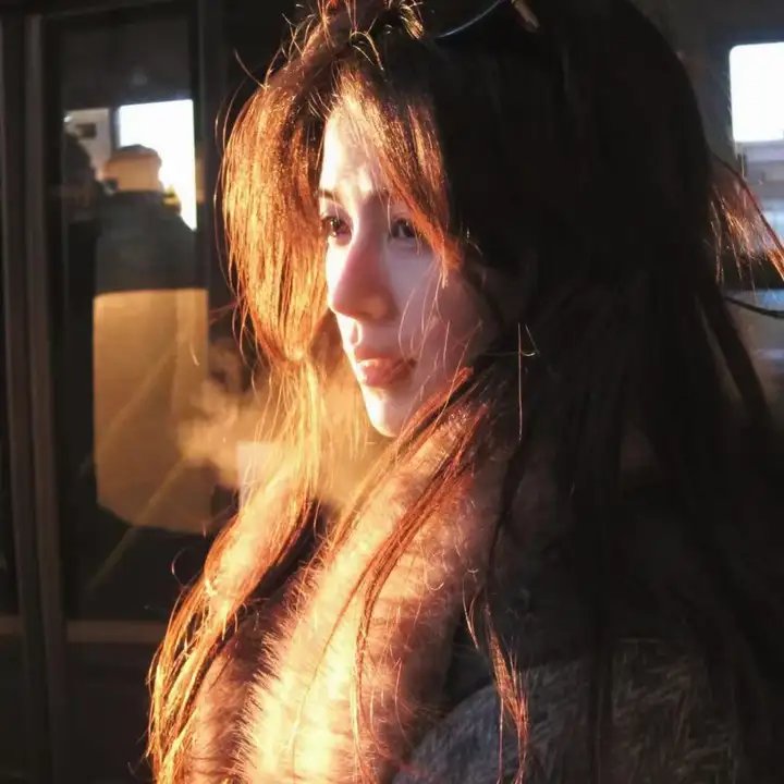 自然世界:动物之家